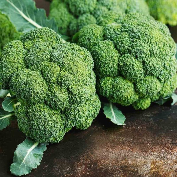 Broccoli F1 HYB
