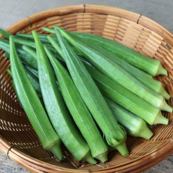 Okra or Lady Finger (bhindi) Hybrid Seeds