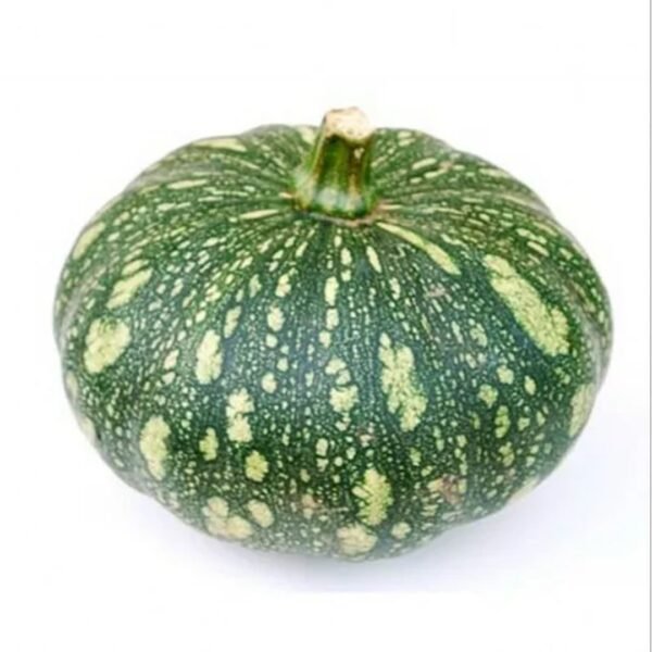 Pumpkin (kaddu) Seeds Hybrid