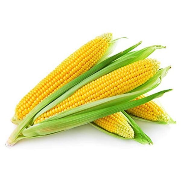 Sweet Corn (Makka) F1 Hybrid Seeds
