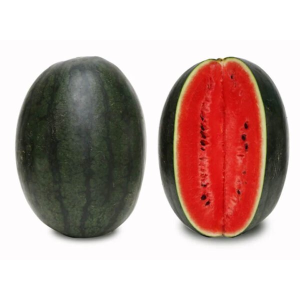 Watermelon Oval Dark Green Hybrid Seeds