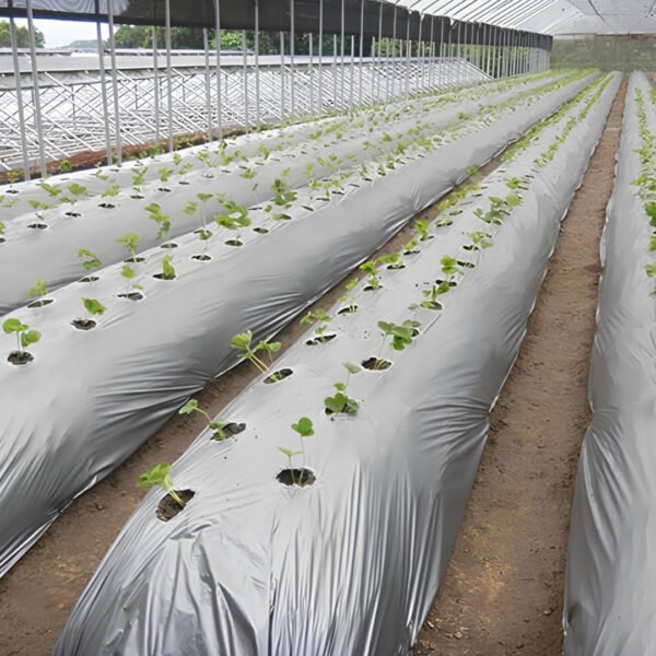 Artificial Mulching sheet ( Mulch Film)