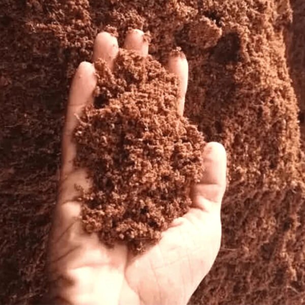 Cocopeat Brick For Gardening - Image 2