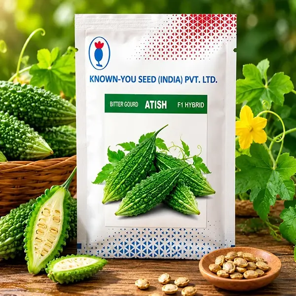 Known-you Seed Atish F1 Hybrid Bitter Gourd Seeds