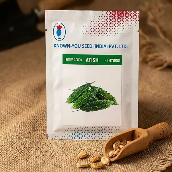 Known-you Seed Atish F1 Hybrid Bitter Gourd Seeds - Image 2