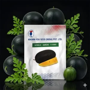 Known you Seed Aarohi F1 Hybrid Watermelon Seeds