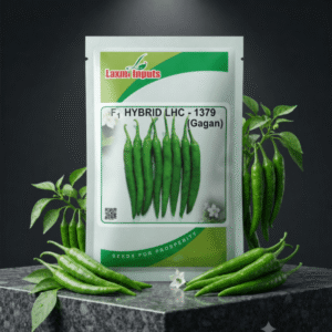 1379 Gagan Chilli F1 Hybrid Laxmi Inputs (10 GM)