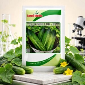 LHC-911 F1 Hybrid Cucumber Laxmi Inputs (10 GM)