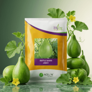 Acsen Hyveg Bottle Gourd Jaidev (50 GM)