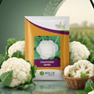 Acsen Hyveg Cauliflower Damini (10 GM)