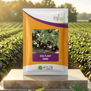Acsen Hyveg Egg Plant Nano (10 GM)