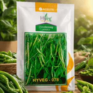 Acsen Hyveg Hot Pepper Hyveg-078 (10 GM)