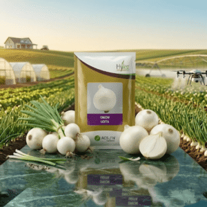 Acsen Hyveg Onion Udita (01 Kg)
