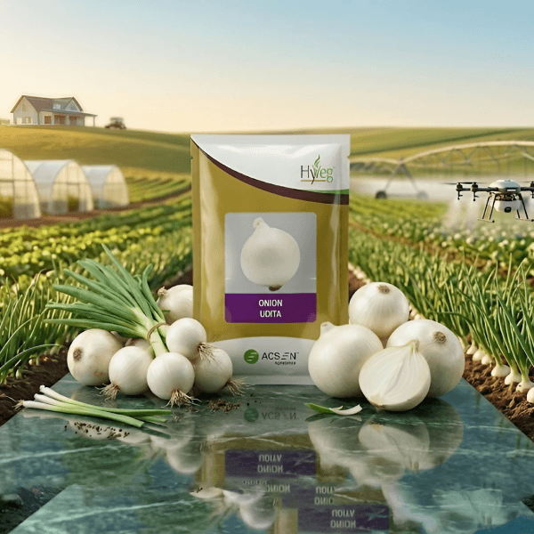 Acsen Hyveg Onion Udita (01 Kg)