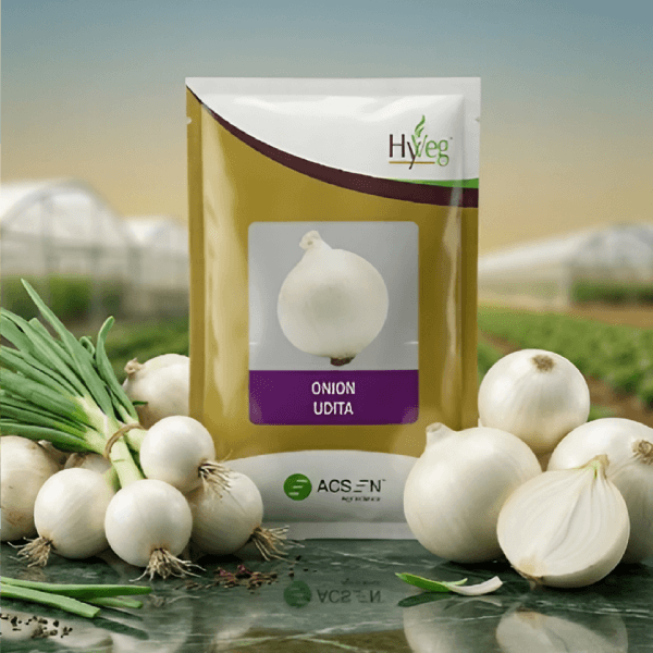Acsen Hyveg Onion Udita (01 Kg) - Image 2