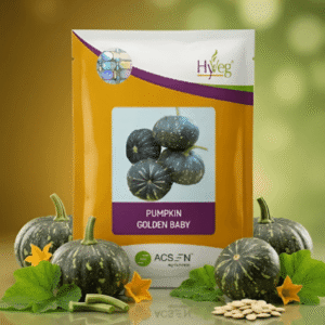 Acsen Hyveg Pumpkin Golden Baby( 50 GM)