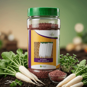 Acsen Hyveg Radish Early Mino White (500 GM)
