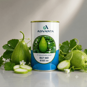 BGT060 Bottle Gourd F1 Hybrid Advanta (50 GM)