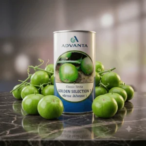 Golden Selection 1 Classic Tinda Advanta (250 GM)