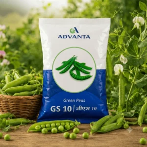 GS-10 Peas Advanta (1 Kg)
