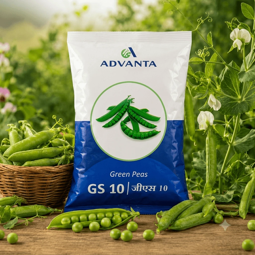 GS-10 Peas Advanta (1 Kg)