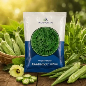 Raadhika Okra F1 Hybrid (Bhendi) Advanta (230 GM)