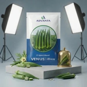 Venus Okra F1 Hybrid Advanta (250 GM)