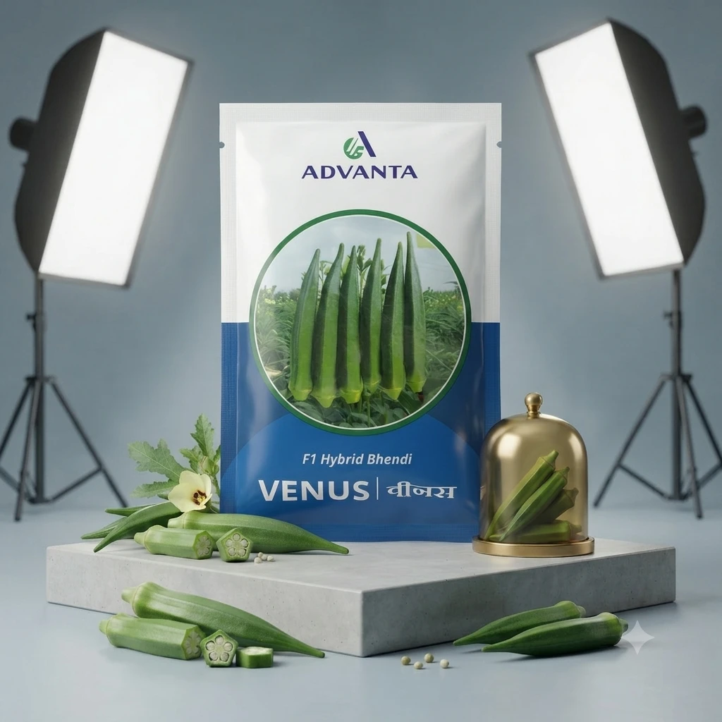 Venus Okra F1 Hybrid Advanta (250 GM)