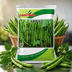 Ambika Beans Laxmi Inputs (500 GM)