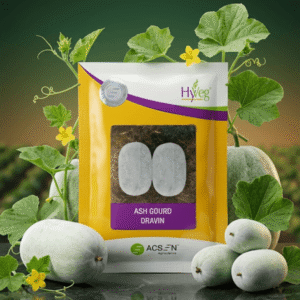Ash Gourd Dravin Acsen Hyveg(50 GM)