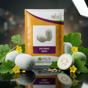 Ash Gourd Hybrid Siddhi Acsen Hyveg (50GM)
