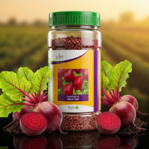 Beet Root Ruby Queen Acsen Hyveg (200 GM)