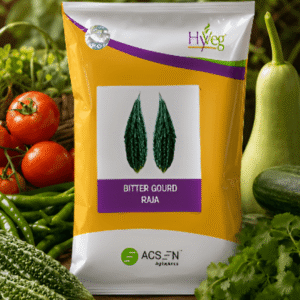 Bitter Gourd Raja Acsen Hyveg(500GM)