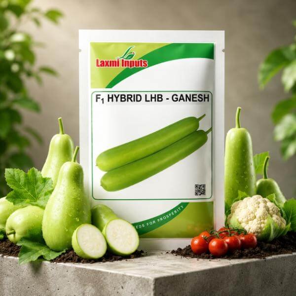 Ganesh Bottle Gourd F1 Hybrid Laxmi Inputs (50 GM) - Image 2