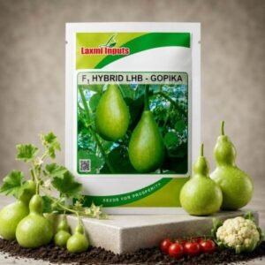 Gopika Bottle Gourd F1 Hybrid Laxmi Inputs (50 GM)
