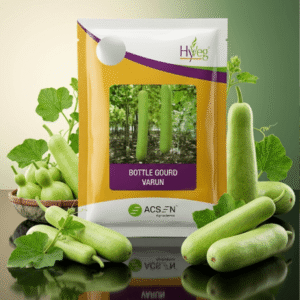 Bottle Gourd Varun Acsen Hyveg (50 GM)