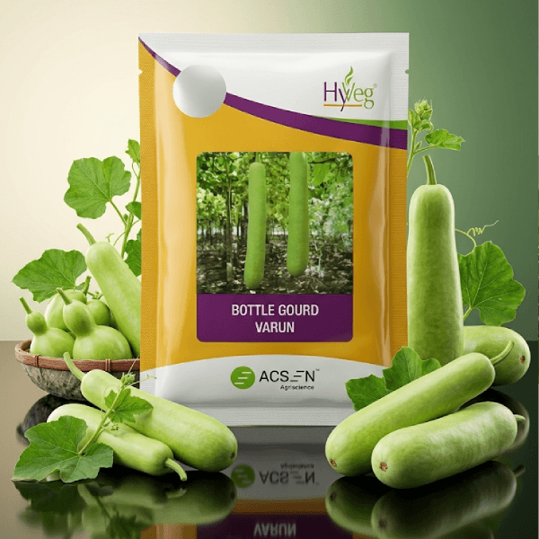 Bottle Gourd Varun Acsen Hyveg (50 GM)
