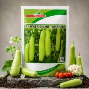 Sharada Bottle Gourd F1 Hybrid Laxmi Inputs (250 GM)