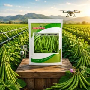 Cluster Beans – (Pnb) Pusa Nava Bahar Laxmi Inputs (500 GM)