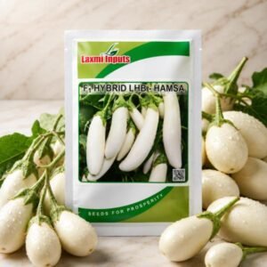 Hamsa Brinjal F1 Hybrid Laxmi Inputs (10 GM)