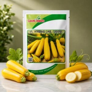 LHS-Jeeni F1 Hybrid Squash Laxmi Inputs (100 Seeds)