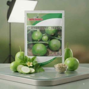 LHT- Teena F1 Hybrid Tinda Laxmi Inputs (50 GM)