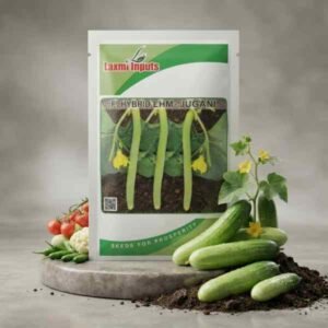 LHM-Jugani F1 Hybrid Long Melon Laxmi Inputs (10 GM)