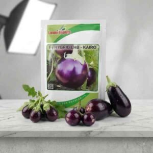 Kairo Brinjal F1 Hybrid Laxmi Inputs (10 GM)