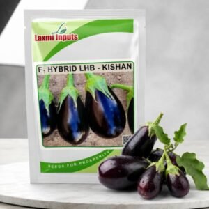 Kishan Brinjal F1 Hybrid Laxmi Inputs (10 GM)