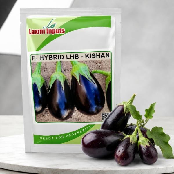 Kishan Brinjal F1 Hybrid Laxmi Inputs (10 GM)