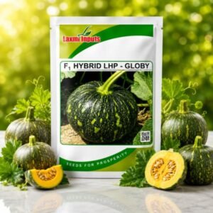 LHP-Globy-10 F1 Hybrid Pumpkin Laxmi Inputs (50 GM)