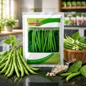 Muskan Beans Laxmi Inputs (500 GM)