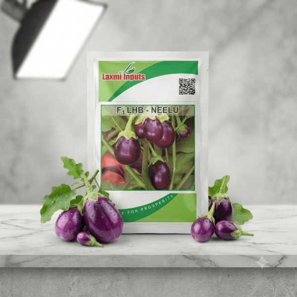 Neelu Brinjal F1 Hybrid Laxmi Inputs (10 GM)