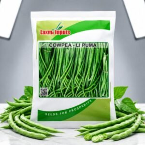 LI-Puma Cowpea Laxmi Inputs (500 GM)